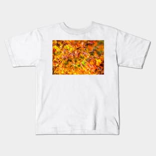 Maple tree red and orange autumn leafs Kids T-Shirt